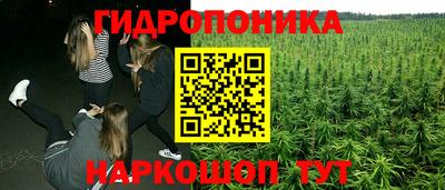 стаф Рыбинск
