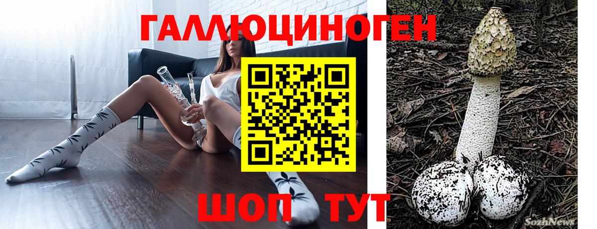 Тихорецк  Псилоцибиновые грибы прущие грибы  Вход с VPN 